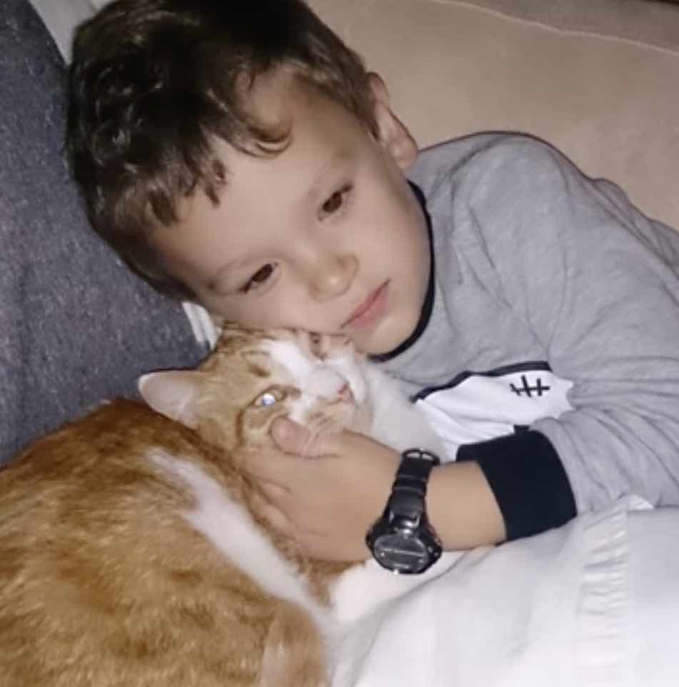 cat and boy 1
