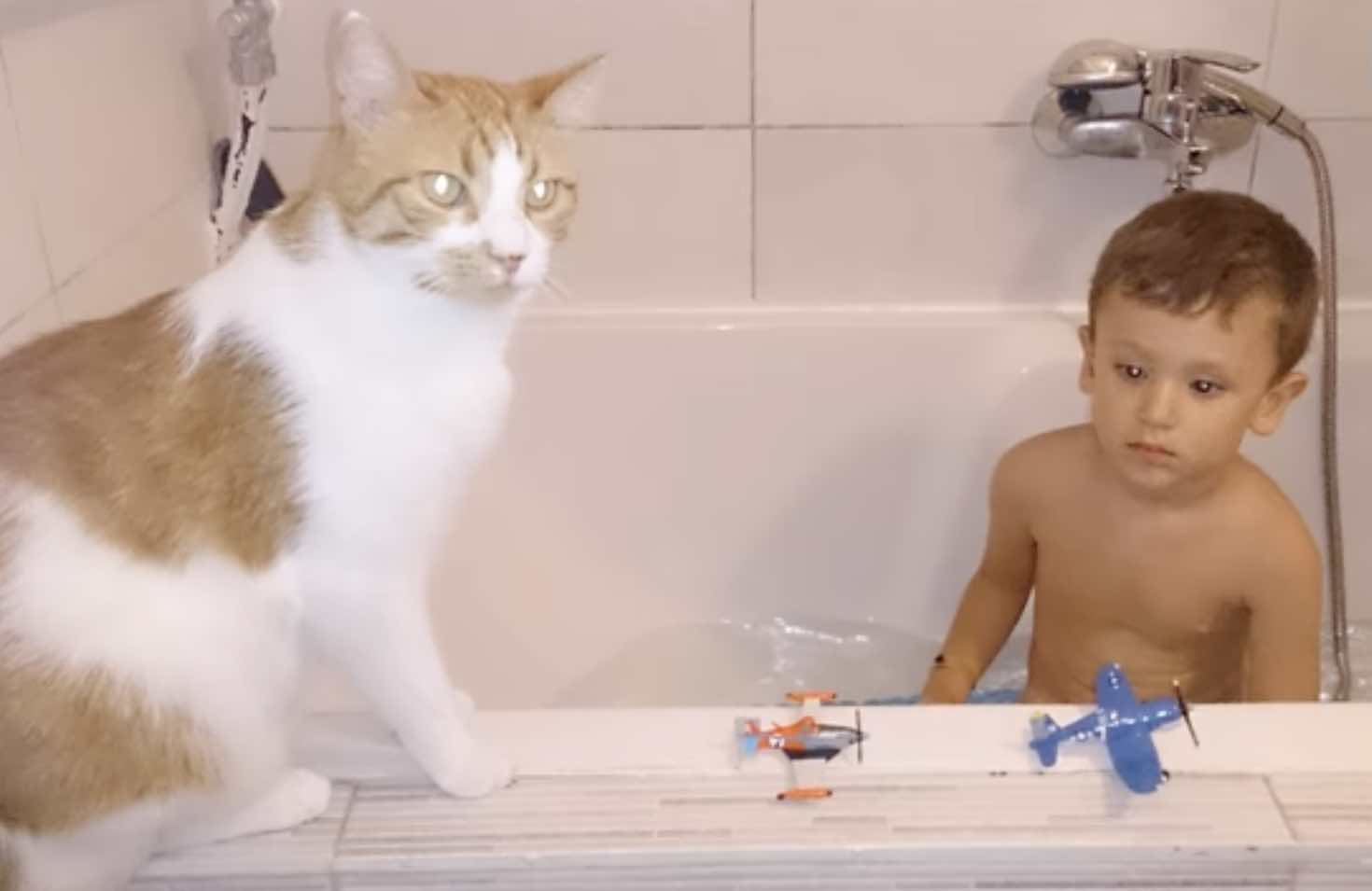cat and boy bath