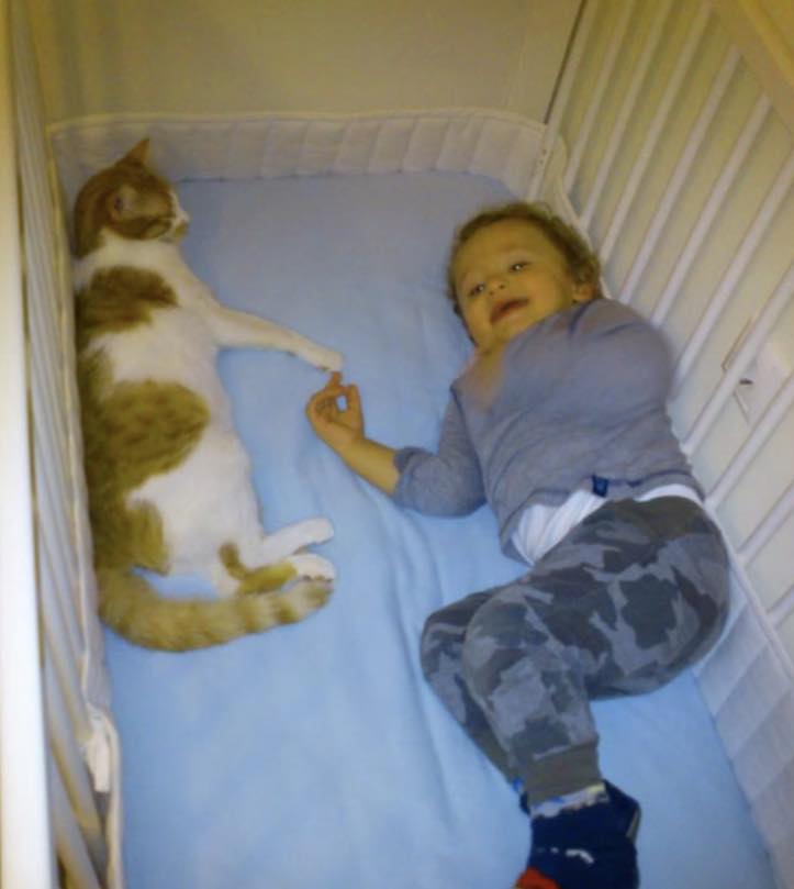 rescue cat. and boy