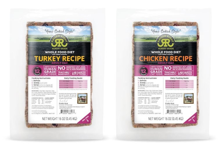 Homemade Cat Food ‘How To’ Guide Plus Easy Recipes