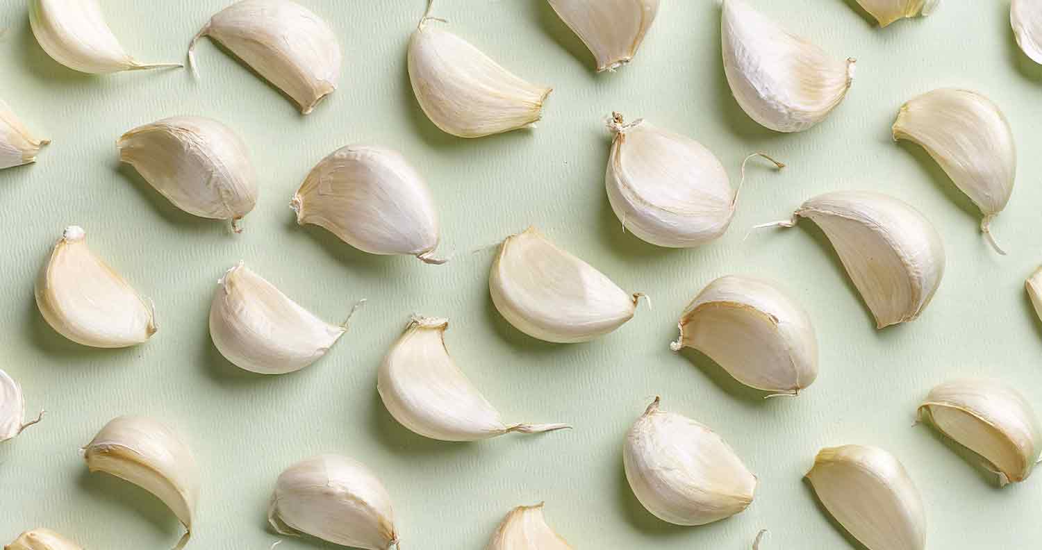 is garlic toxic for cats