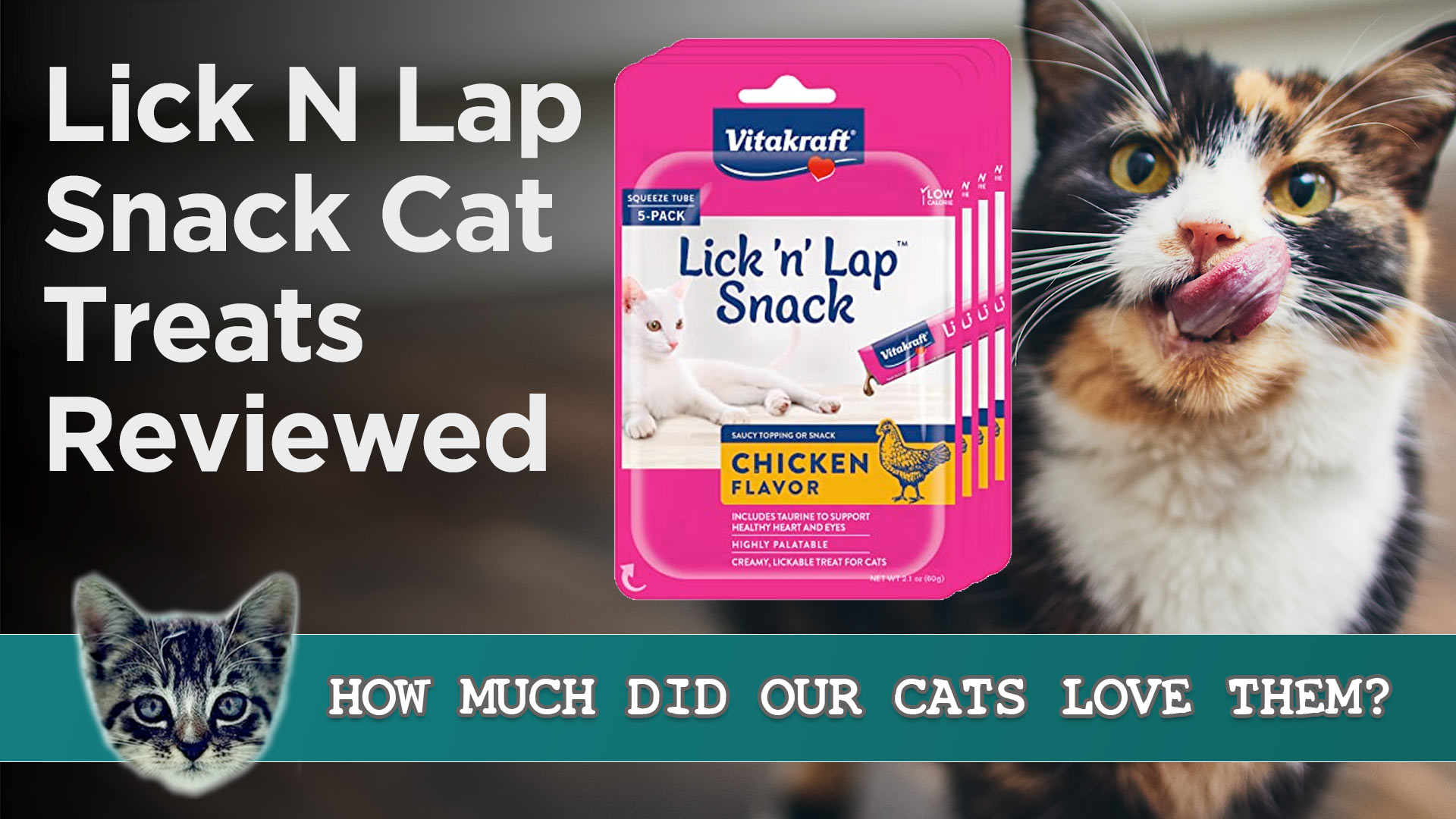 Vitakraft Lick 'N' Lap Snacks Named Best Cat Treats of 2022