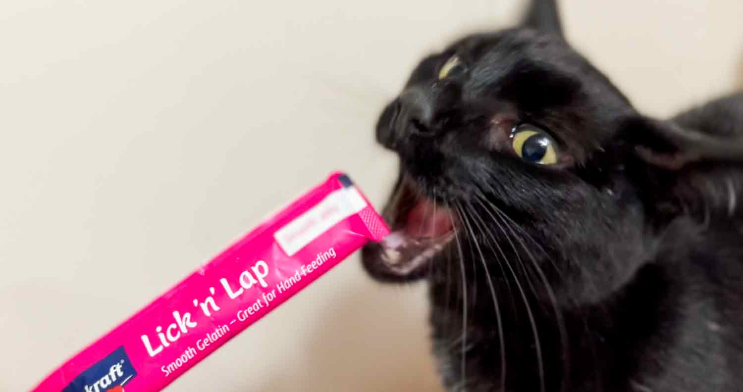 Vitakraft Lick 'n' Lap Smooth Jelly Cat Treat - Salmon Flavor, 20 Pack