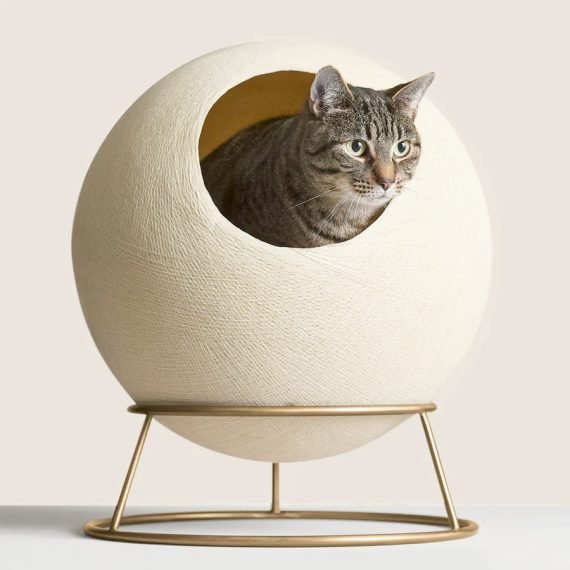 Best Luxury Cat Bed (2023) 13 Fancy, Designer Beds For Your Pampered