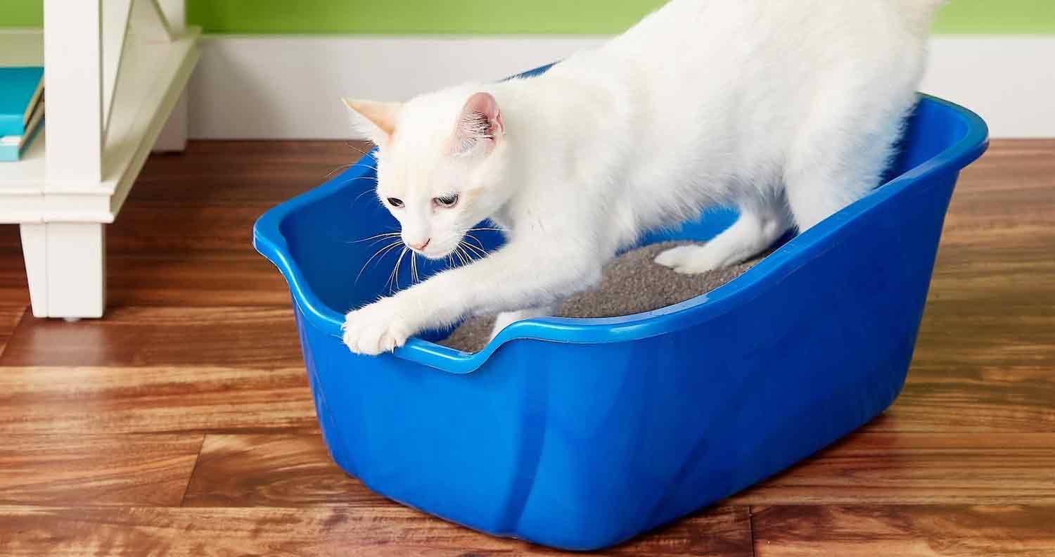 Van Ness Giant High-Sided Cat Litter Pan