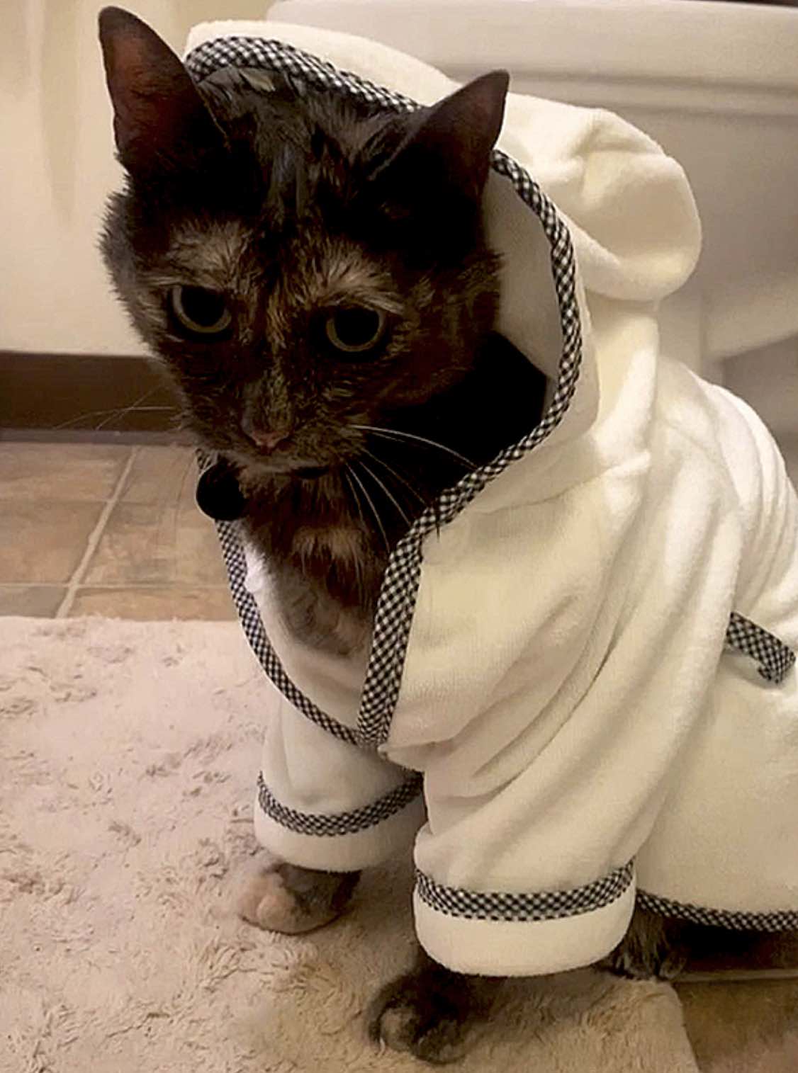 pym in bath robe