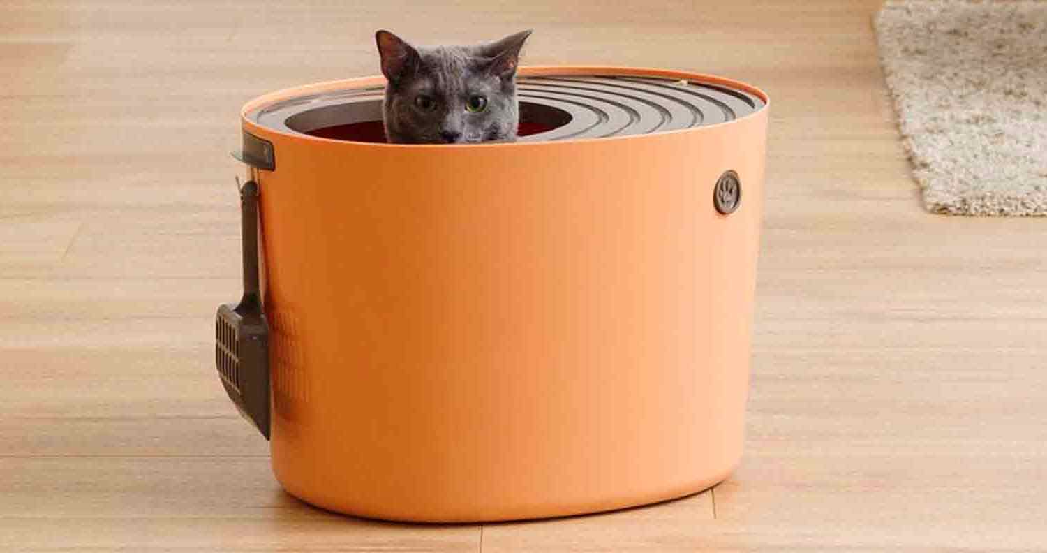 IRIS Top Entry Cat Litter Box