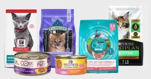 best food for pregnant cats