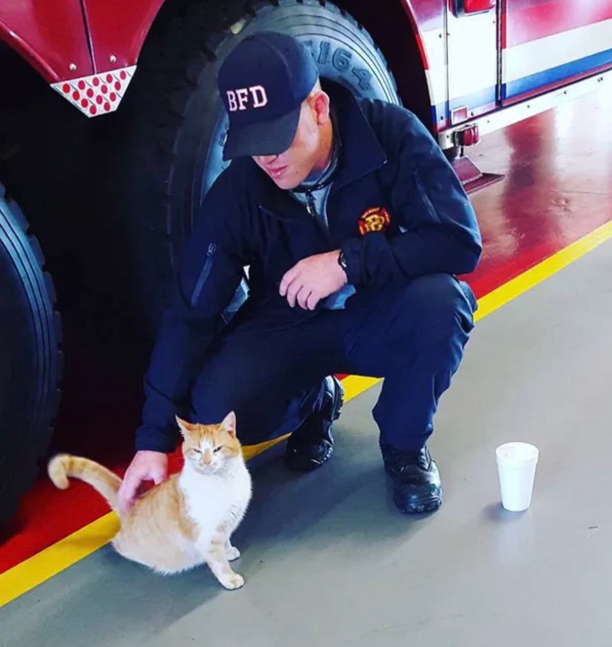 buddy flame buddy flame