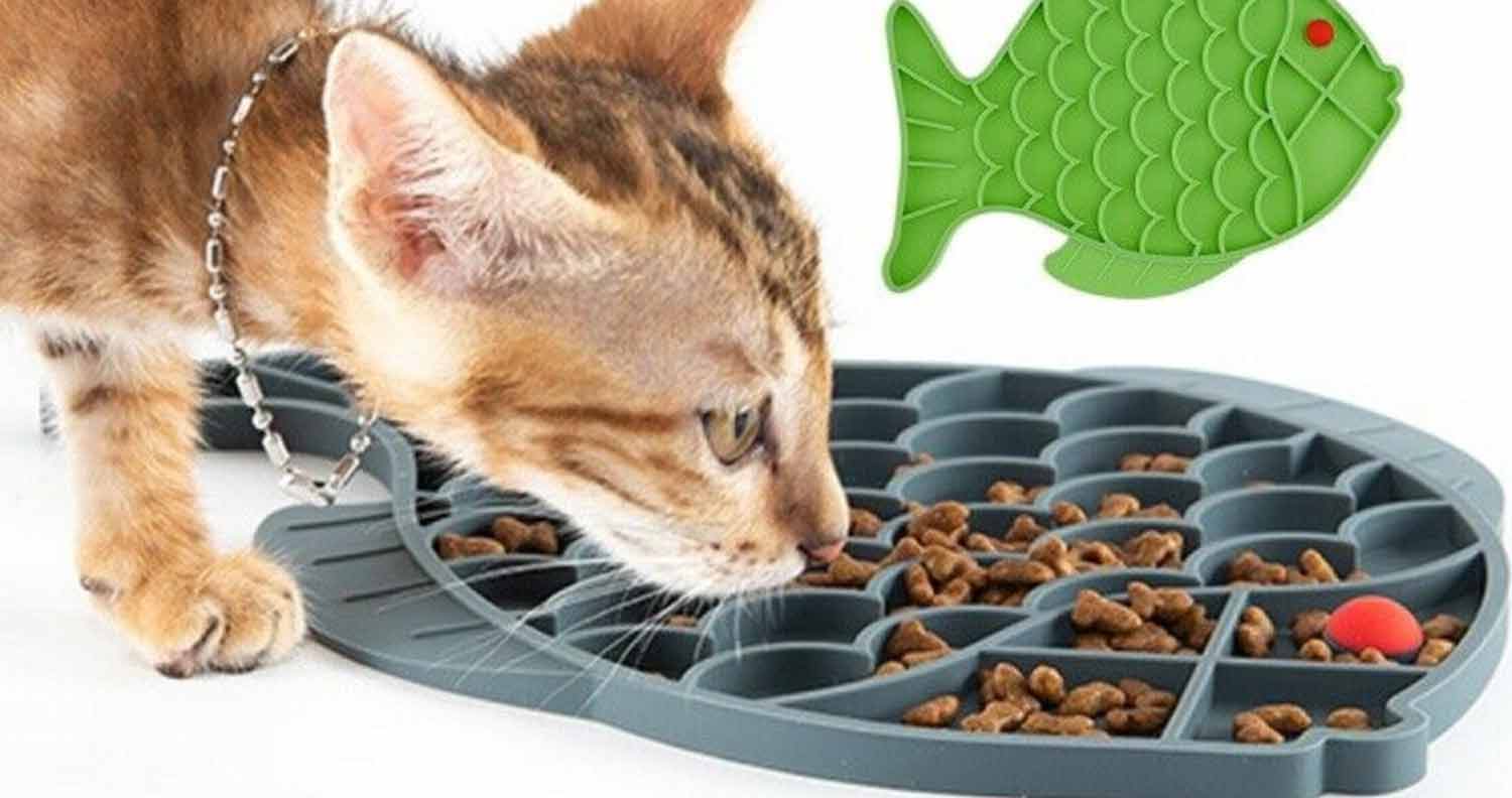 slow cat feeder bowls