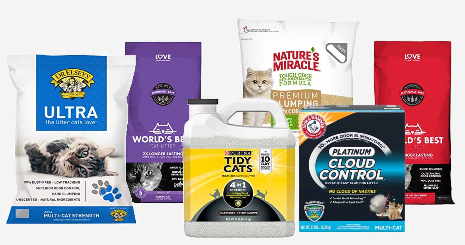 10 Best Dust Free Cat Litter Picks of 2023 - We Love Cats and Kittens