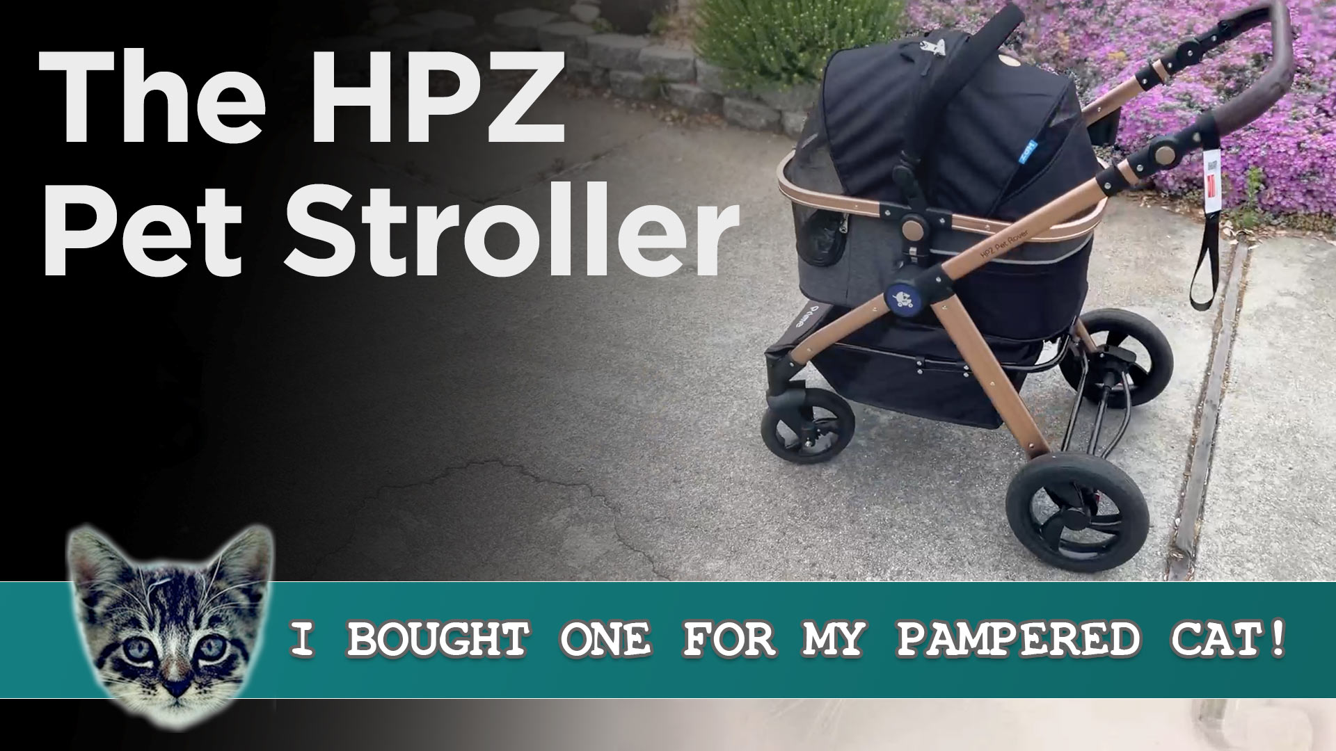 HPZ Pet Rover Pet Rover Heavy Duty Expandable Pet Stroller
