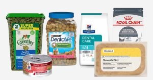 Best Cat Food For Older Cats With Bad Teeth