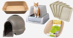 best eco friendly cat litter box