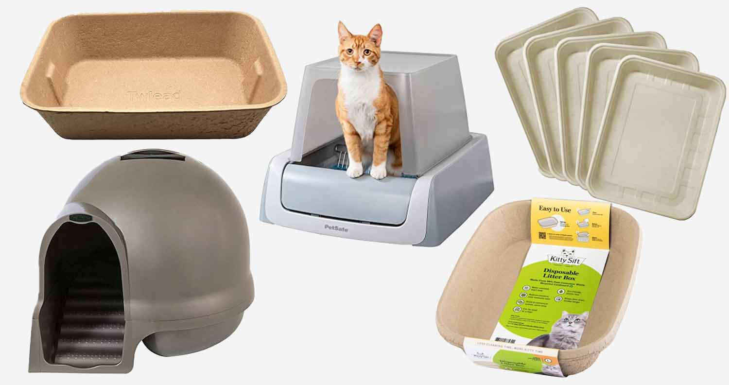 Best Eco-Friendly Cat Litter Box (2024): Nature-Inspired