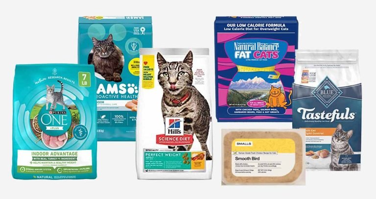 Best Cat Food For Weight Loss (2023): 14 Weight Control Diet Picks
