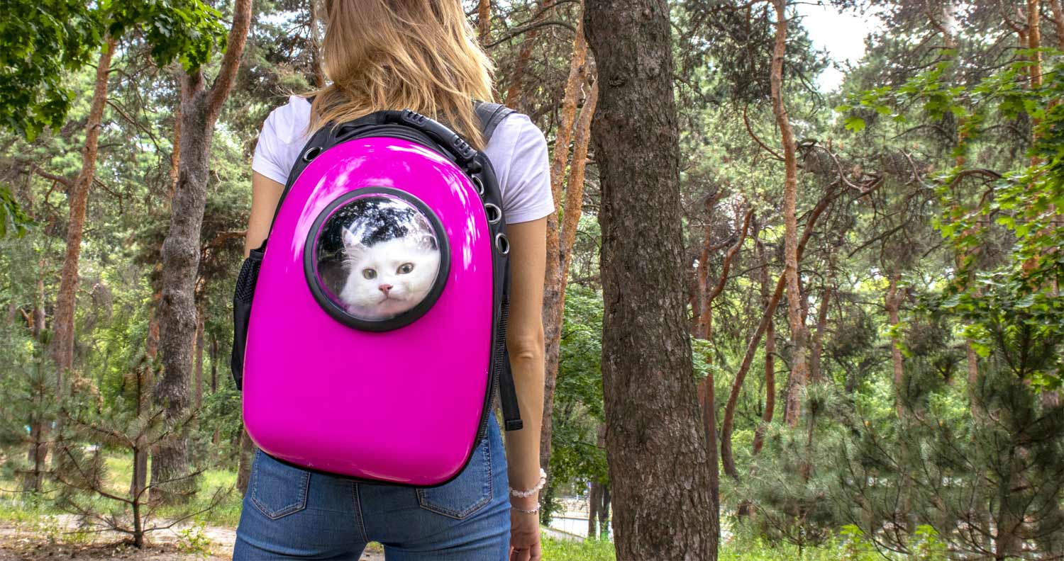 How To Backpack Train Your Cat