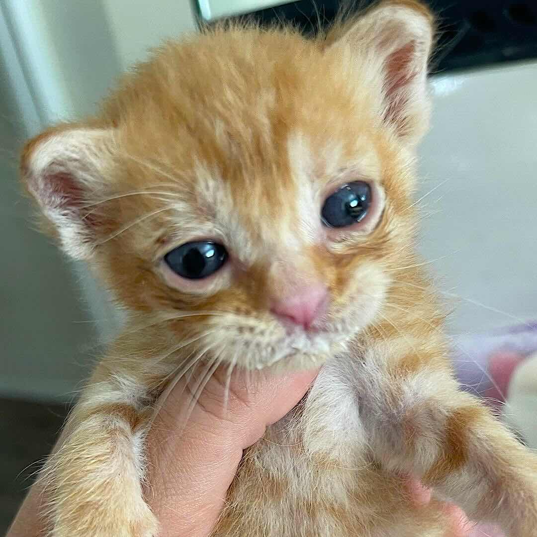 binx 8 binx 8
