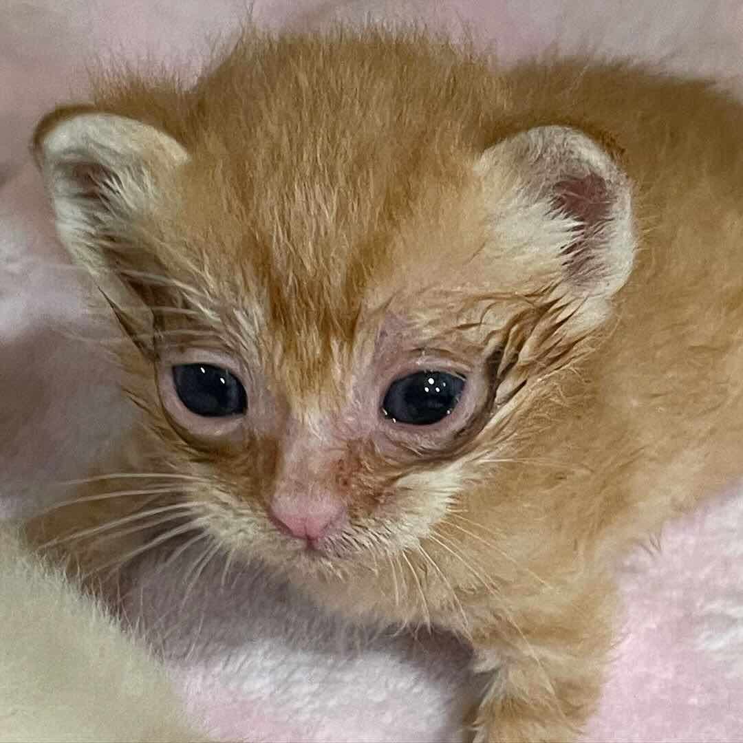 binx 9 binx 9