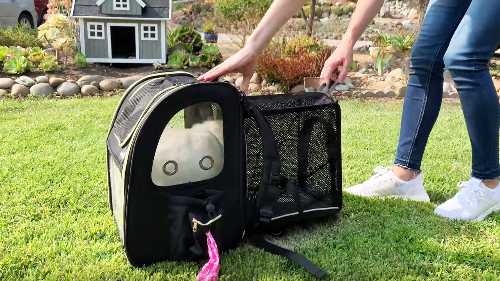 Why top opening cat carriers are the better choice for your cat.