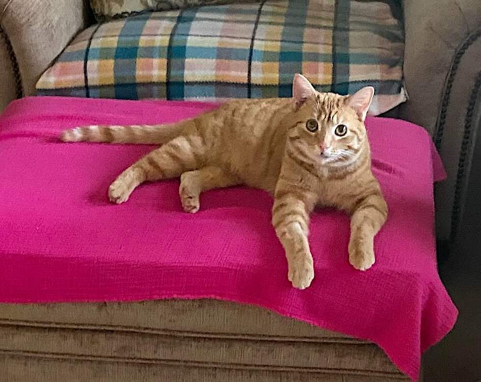 oliver 9 oliver 9