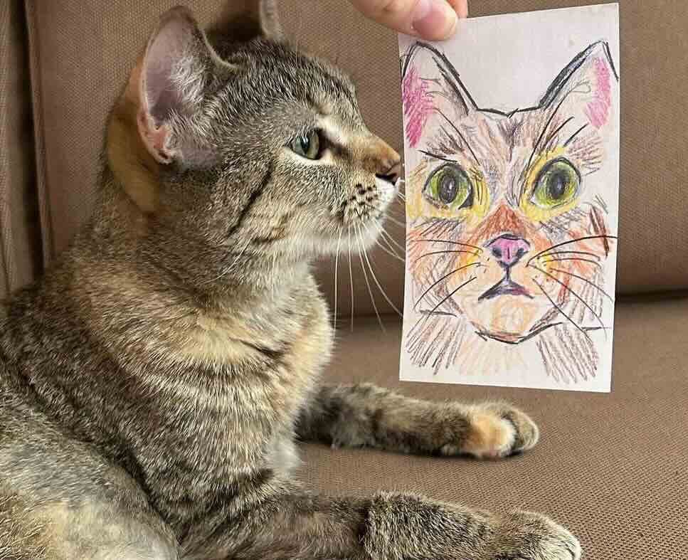 momo 1 momo 1