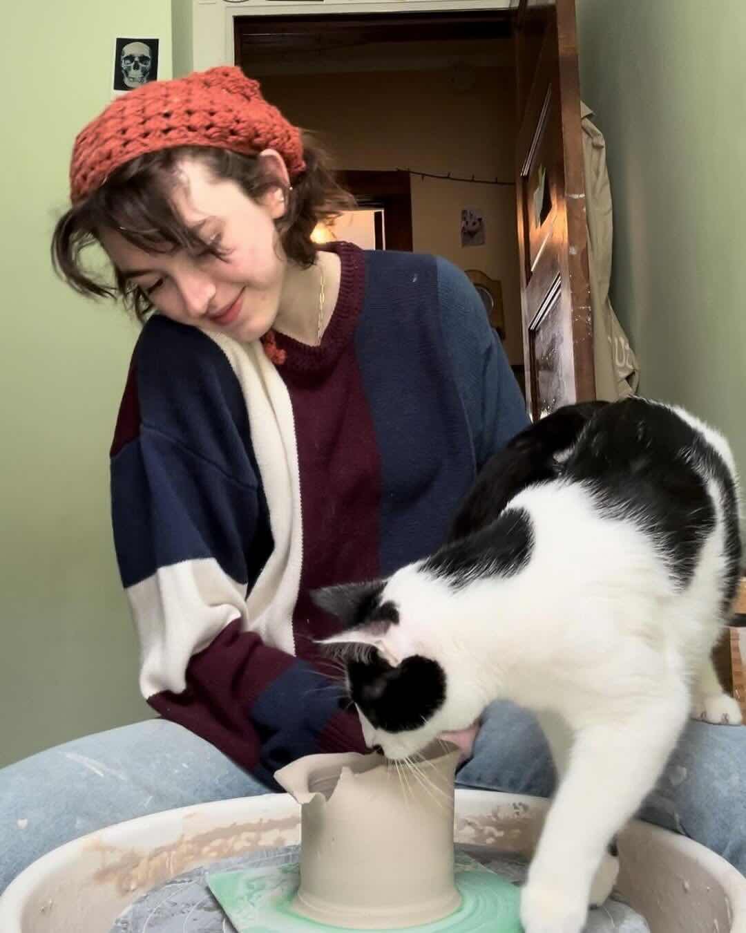 momo 4 momo 4